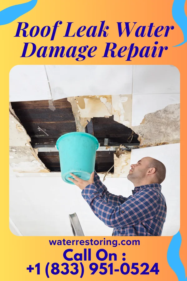 Roof Leak Water Damage Repair in North Decatur, GA
